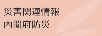 内閣府防災情報